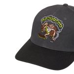 GORRA DC SHOES COUCH CHILLING BLACK | Mechanic